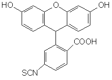 6-ɹأFITC