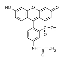 5-ɹ