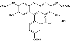 TAMRA|5-_6G